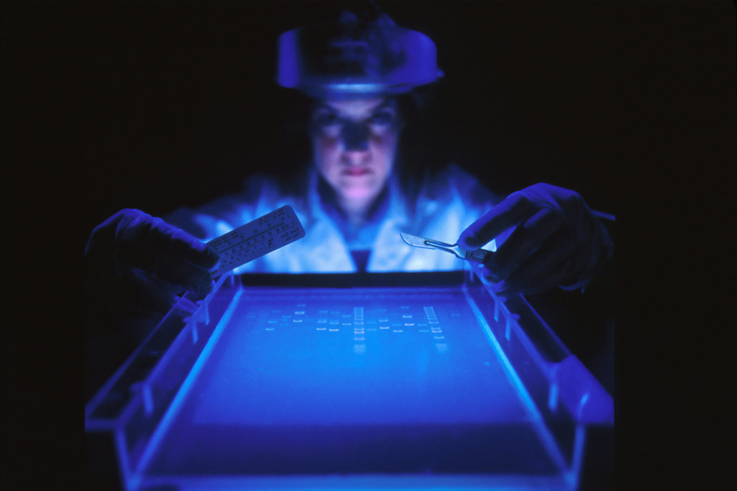 Healthcare & Life Sciences